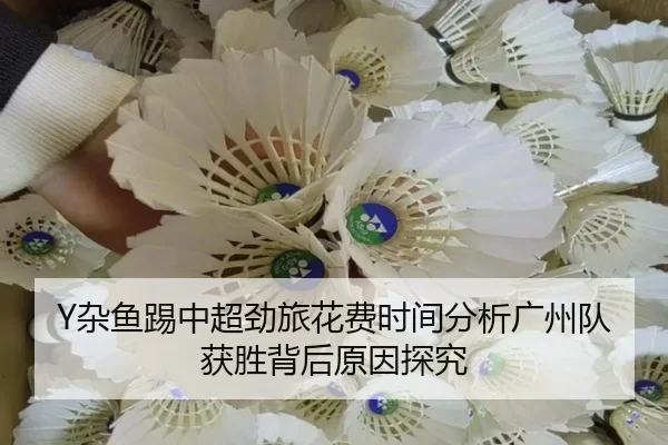 za-yu-ti-zhong-chao-jing-lv-hua-fei-shi-jian-fen-xi-guang-zhou-dui-huo-sheng-bei-hou-yuan-yin-tan-jiu-2-362.jpg
