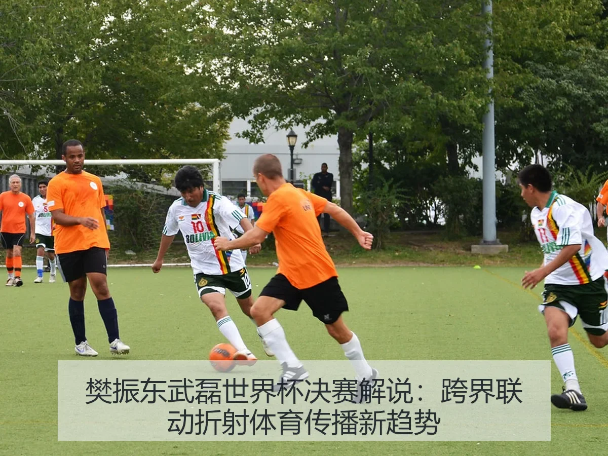 樊振东武磊世界杯决赛解说：跨界联动折射体育传播新趋势